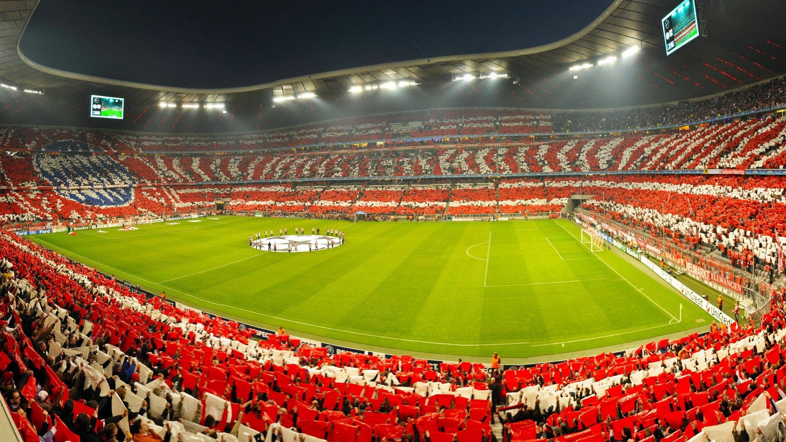 青年力量崛起，迎来新希望！，新青年新力量